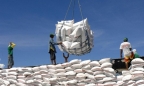 Việt Nam nhập gần 1 triệu tấn gạo, Bộ Công Thương đề xuất sửa nghị định để kiểm soát