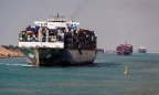 Hãng tàu ngoại tự ý tăng phí, doanh nghiệp Việt bị ép ngay trên 'sân nhà'