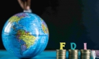 Yếu tố nào định hình dòng chảy FDI toàn cầu?