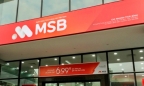 MSB muốn thoái vốn MSB AMC thông qua đấu giá công khai