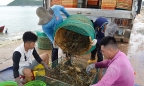 Trung Quốc đóng lối nhỏ, tôm cá rớt giá, dân Việt khóc ròng