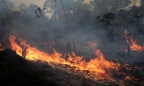 Cháy rừng Amazon: Brazil đổi ý, chấp thuận nhận viện trợ từ nước ngoài