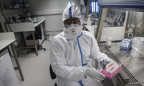 Nhà khoa học Trung Quốc bác giả thuyết virus corona thoát ra từ phòng thí nghiệm Vũ Hán