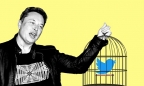 Elon Musk thâu tóm Twitter, EU cảnh báo ‘con chim phải bay theo luật của chúng tôi’
