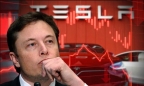 Lợi nhuận Tesla giảm sâu, tỷ phú Elon Musk hứng chỉ trích