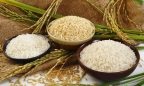 Quảng Trị xuất khẩu lô hàng gạo hữu cơ đầu tiên sang Châu Âu