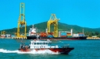 Đề xuất thành lập Tổng công ty Hoa tiêu hàng hải Việt Nam, vốn điều lệ hơn 564 tỷ đồng