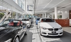 Euro Auto xin Thủ tướng không hình sự hóa vụ nhập khẩu ô tô BMW 
