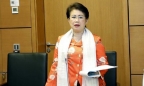 Thanh tra Chính phủ: Phó bí thư Đồng Nai Phan Thị Mỹ Thanh vi phạm nghiêm trọng, cần bị xử lý