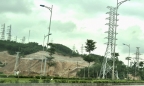 Thanh Hoá: Phá 2,6ha rừng, Công ty AIT bị xử phạt 325 triệu đồng