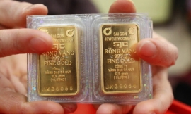Đấu thầu 16.800 lượng vàng miếng SJC, giá tham chiếu 81,8 triệu/lượng