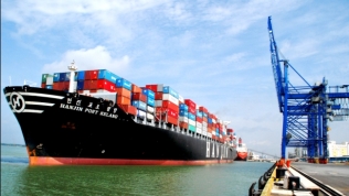 Nước ngoài thống trị 99% thị trường vận tải biển Việt Nam