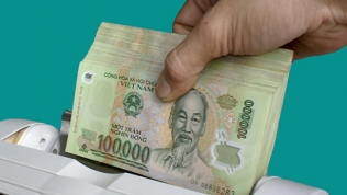 Bảo hiểm tiền gửi Việt Nam bị phát hiện sai phạm 'nhiều tỷ đồng'