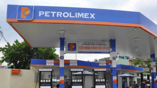 Thanh tra Chính phủ ‘vạch mặt’ hàng loạt sai phạm của Petrolimex