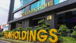 Thaiholdings muốn bán 35% cổ phần tại Thaihomes, dự thu gần 100 tỷ