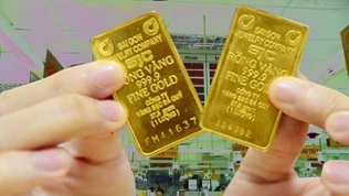 Giá vàng thế giới lao dốc, vàng trong nước giảm ngay 250.000 đồng/lượng