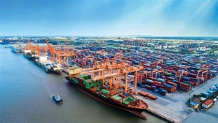 VIMC đề xuất xây dựng cảng trung chuyển container quốc tế Cần Giờ 850 triệu USD
