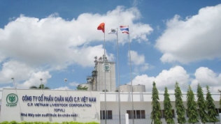 'Ông trùm' nông nghiệp C.P Việt Nam muốn niêm yết trên HoSE
