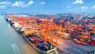 Siêu cảng quốc tế Cần Giờ 5,5 tỷ USD: Tháng 11/2023, trình đề án lên Thủ tướng