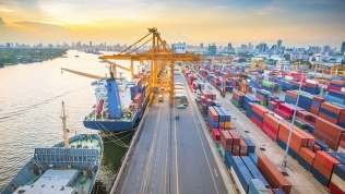 TP. HCM: Mỗi ngày thu 7 tỷ phí cảng biển, dồn vốn làm giao thông
