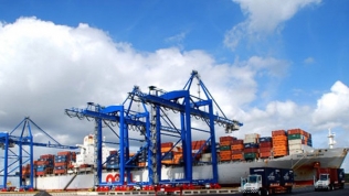 11 tháng đầu năm 2019, Cảng biển Nghệ An đón 9 triệu tấn hàng