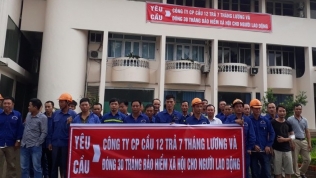 Thay đổi đăng ký kinh doanh CIENCO1: Nhóm cổ đông bị Phó Thủ tướng, Bí thư Hà Nội 'tuýt còi'