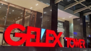 Con gái Chủ tịch Gelex đăng ký mua 1 triệu cổ phiếu GEX