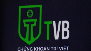 Bà Trần Thị Rồng ngồi ghế CEO Chứng khoán Trí Việt