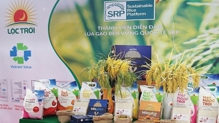 Lộc Trời xuất khẩu gạo với thương hiệu 'Cơm ViệtNam Rice' sang thị trường châu Âu