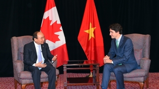 Thủ tướng Canada Justin Trudeau 'từng đến Việt Nam khi trẻ, ủng hộ TPP tuyệt đối'