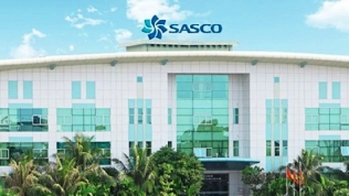 SASCO báo lãi giảm mạnh 23% sau khi Thanh tra Chính phủ công bố nhiều sai phạm