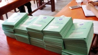 Cosevco 1 nợ bảo hiểm xã hội gần 52 tỷ đồng