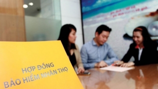 Công ty bảo hiểm nhân thọ Việt đầu tiên cho phép người đến 80 tuổi tham gia bảo hiểm