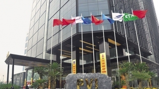 Tái bảo hiểm PVI (PVIRe) được chấp thuận niêm yết 72,8 triệu cổ phiếu tại HNX