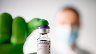 WHO đàm phán với Pfizer để sớm phân phối vắcxin Covid-19 trên toàn cầu