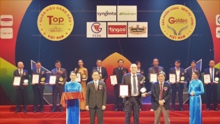 Eurowindow Holding lọt ‘Top 10 nhãn hiệu hàng đầu Việt Nam năm 2020’
