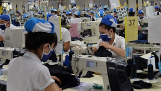 Tiền Giang: Vẫn bị tỉnh làm khó, cộng đồng doanh nghiệp FDI 'cầu cứu' Thủ tướng