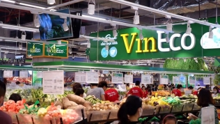 VinMart, VinMart+ - 'chiến mã' của bán lẻ Việt Nam
