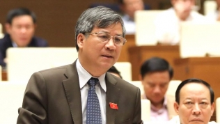 Đường tới Quốc hội: GS Nguyễn Anh Trí - Người ‘mang’ dịch vụ xét nghiệm tại nhà về Việt Nam