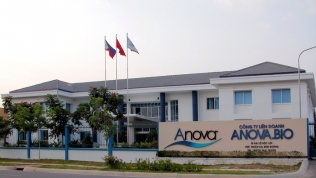 Tập đoàn Anova đổi tên thành Nova Consumer Group