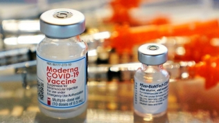 Bộ Y tế đề nghị TP. HCM phản hồi việc mua 5 triệu liều vắc xin Moderna trước 15/8