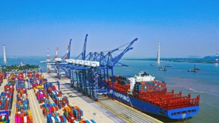 Cảng Đồng Nai (PDN) chốt quyền tạm ứng cổ tức đợt 1/2022 bằng tiền, tỷ lệ 20%