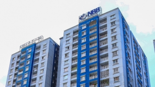 Công ty con của CII muốn nâng sở hữu tại Năm Bảy Bảy (NBB)