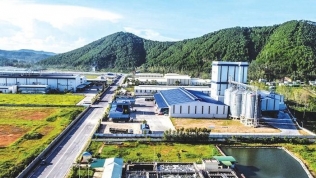 Công ty con Kinh Bắc (KBC) làm 2 khu công nghiệp 15.000 tỷ đồng tại Long An
