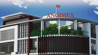 Angimex (AGM): Dược Lâm Đồng đăng ký mua 100.000cp, nâng sở hữu lên 1,43% vốn