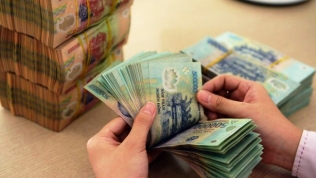 Lương thực Bình Định (BLT) chốt chi trả cổ tức hơn 100% bằng 'tiền tươi'
