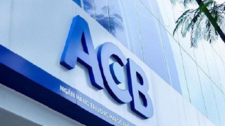 Cổ phiếu khuyến nghị hôm nay (22/11): GMD, DXG và ACB