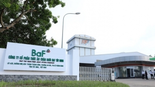 BaF Việt Nam (BAF) sắp sở hữu thêm công ty chăn nuôi lợn ở Tây Ninh