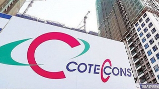 Coteccons dự kiến phát hành hơn 24,8 triệu cổ phiếu để tăng vốn