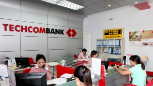 Tranh chấp với Techcombank, Thúy Đạt sẽ tiếp tục khởi kiện